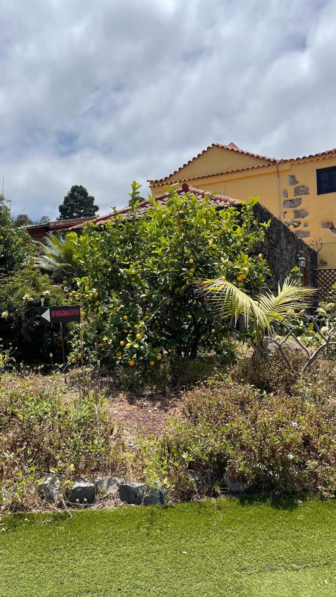 Casonas De Marengo Guest House Icod De Los Vinos Exterior photo